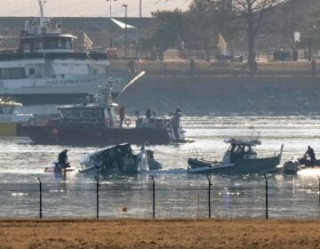 scene of rescue efforts from across the river