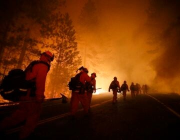 Prisoner firefighters walk along Highway 120