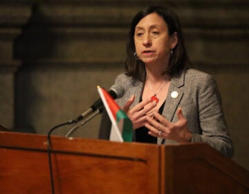 Philadelphia City Councilmember Rue Landau, pictured here speaking at the 4th annual Philadelphia Palestine Day, warned residents of the impact President Donald Trump could have on the city at a hearing on Jan. 22, 2025. (Carmen Russell-Sluchansky/WHYY)