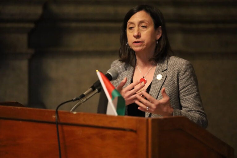 Philadelphia City Councilmember Rue Landau, pictured here speaking at the 4th annual Philadelphia Palestine Day, warned residents of the impact President Donald Trump could have on the city at a hearing on Jan. 22, 2025. (Carmen Russell-Sluchansky/WHYY)