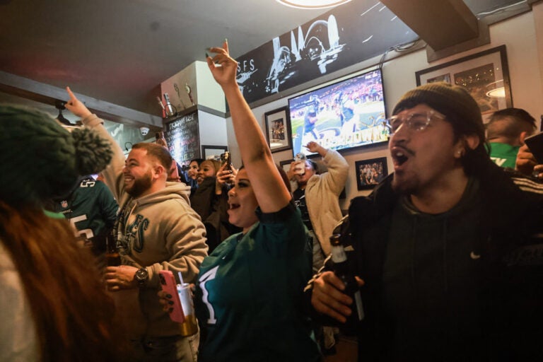 fans cheering