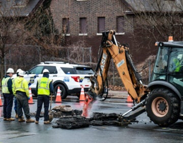 Workers dig up the street to fix the gas leak.