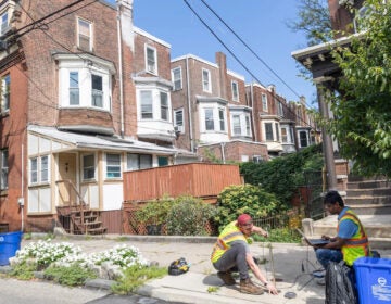 two researchers hammering into the ground outside rowhouses