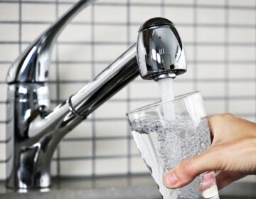 Filling glass of water from stainless steel kitchen faucet. (Bigstock/elanathewise)