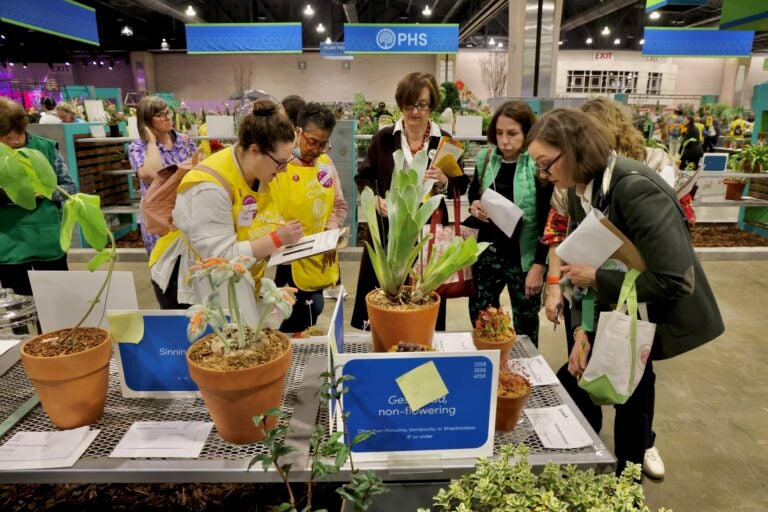 Intricate floral designs on display at the flower show