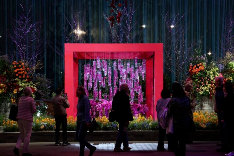 Intricate floral designs on display at the flower show