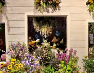 Intricate floral designs on display at the flower show