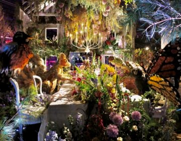 Intricate floral designs on display at the flower show