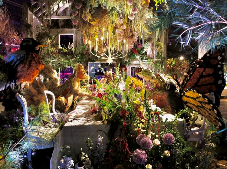 202502 28-e lee-philadelphia pennsylvania convention center-flower show wildlife table Intricate floral designs on display at the flower show