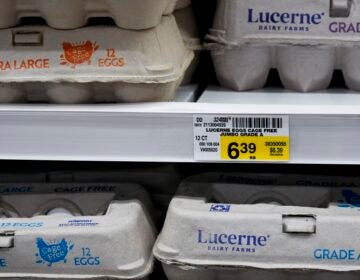 Eggs on a shelf in a supermarket