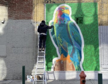 a mural of a colorful Eagle