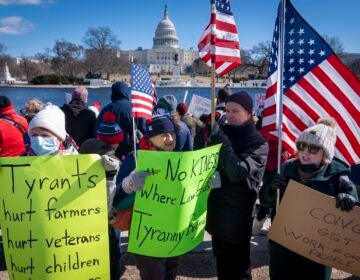 protesters in D.C.