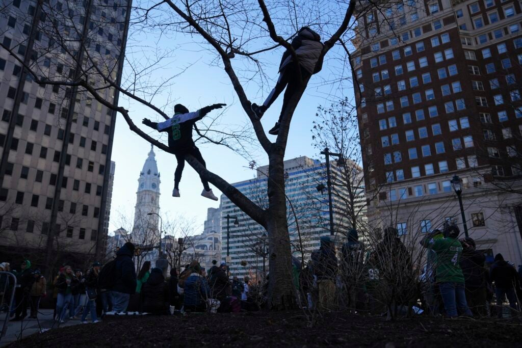 2 people sitting high up in a tree overlooking the crowd of people