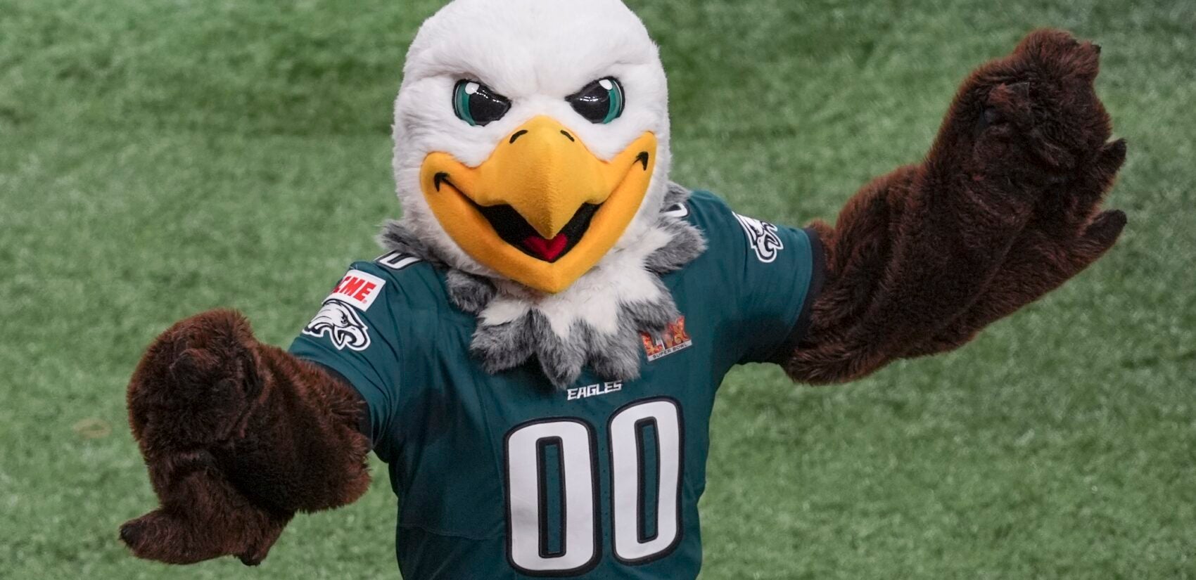 Eagles mascot Swoop on the field during the game