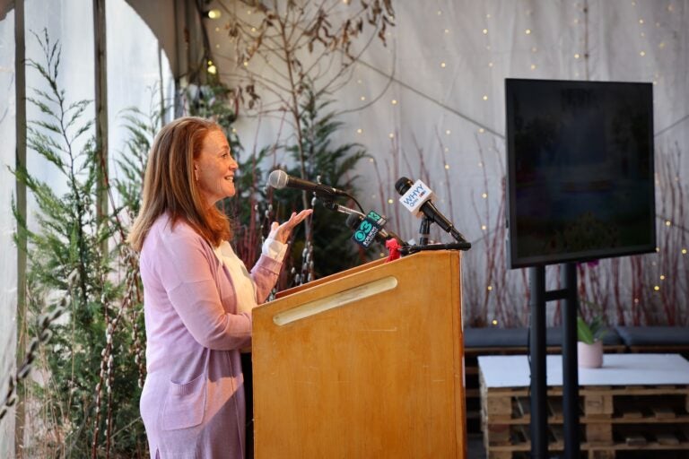 Amy Needle, president and CEO of Historic Philadelphia