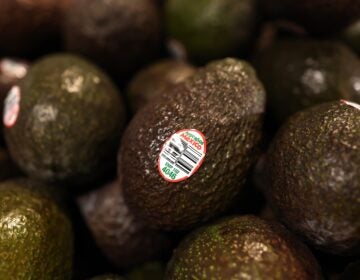 Avocados on display at a supermarket