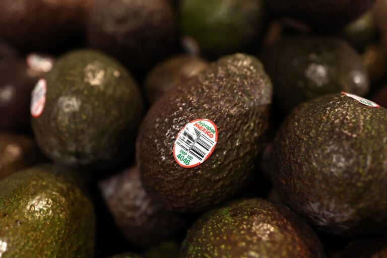 Avocados on display at a supermarket