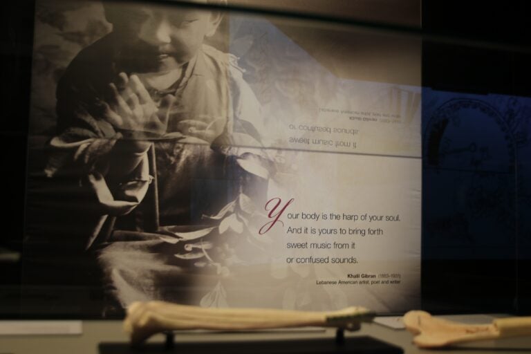 a sign at the exhibit reads a quote from Khalil Gibran reading Your body is the harp of your soul. And it is yours to bring forth sweet music from it or confused sounds.