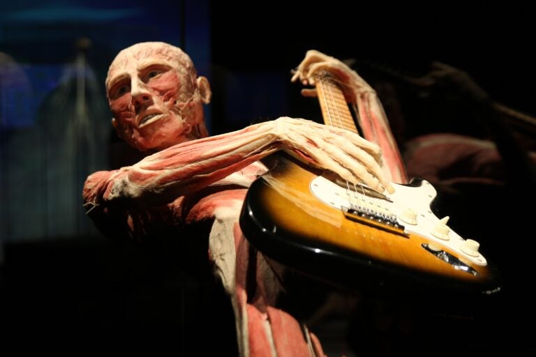 a human plastinate with a guitar