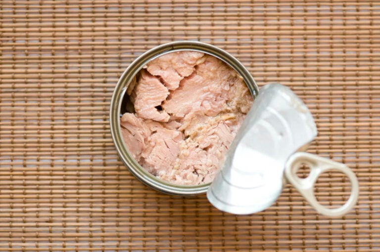 A can of tuna sits open