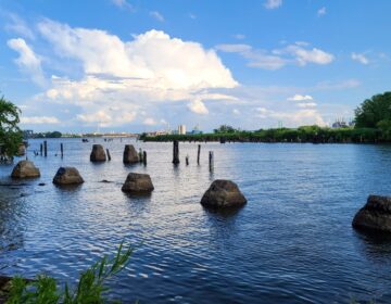 Delaware River Trail