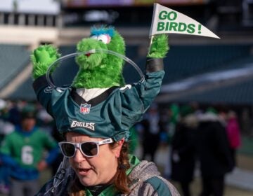 an Eagles fan with a Phillie Phanatic hat