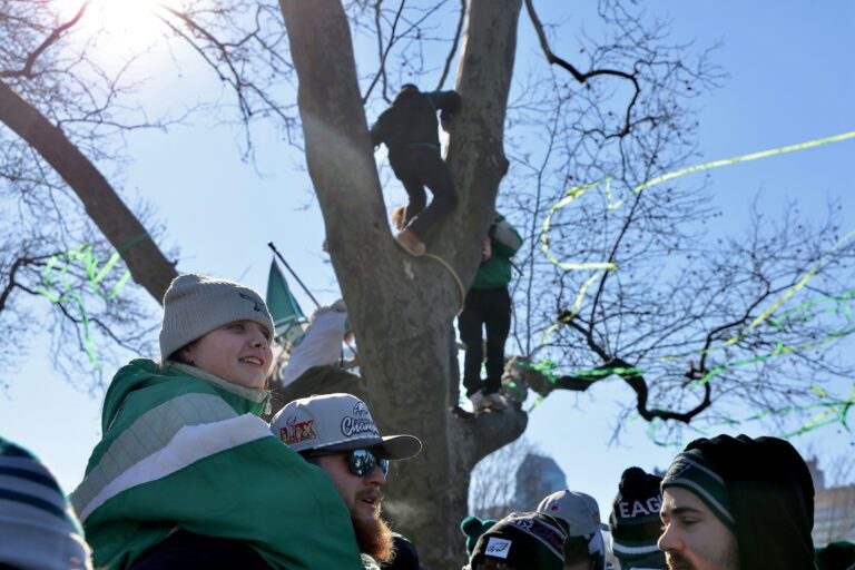 2 people sitting high up in a tree overlooking the crowd of people