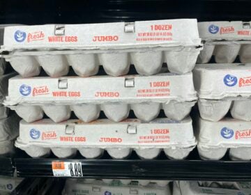 Carton of eggs