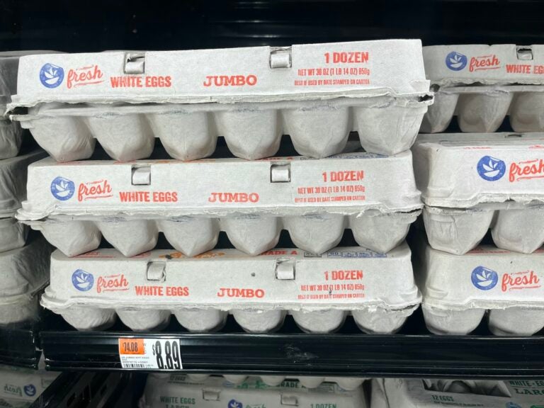 Carton of eggs