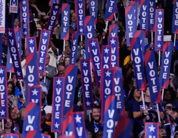 In this file photo from the Democratic National Convention in Chicago on Aug. 20, 2024, delegates and guests wave signs that say 