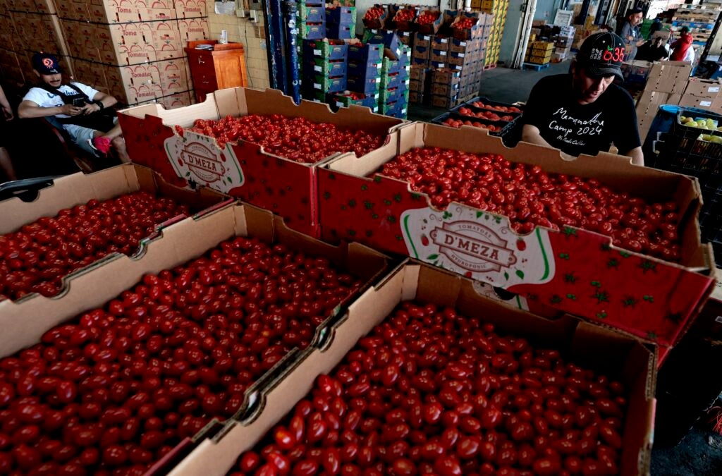 A farmer with a massive crate of tomatoes