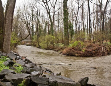 Tookany Creek