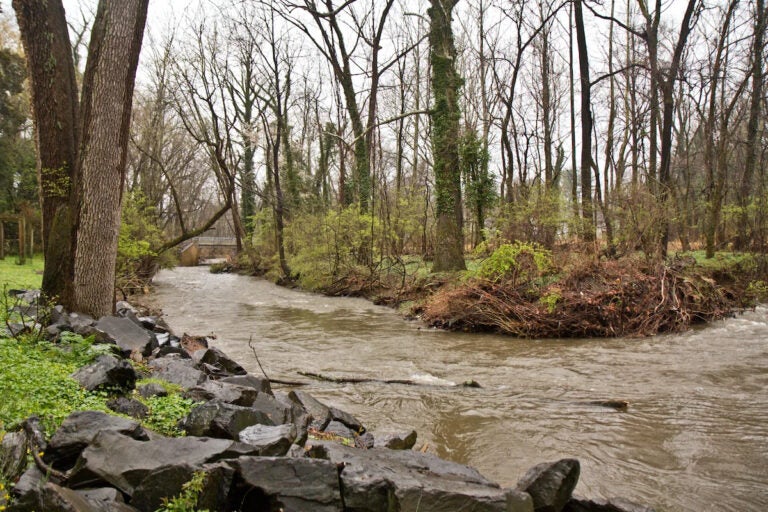 Tookany Creek