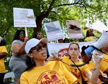 Lori Peterson speaks to protesters