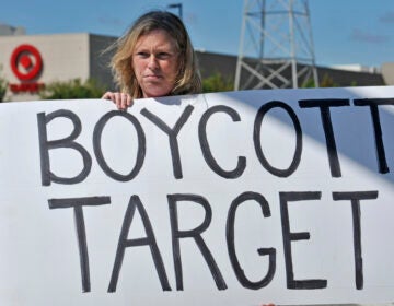 Laura Hedlund, 48 of Eagan, protests in front of a Target store. (AP Photo/Craig Lassig)