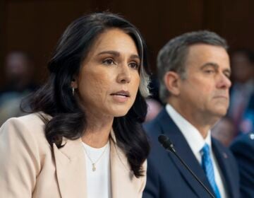 Tulsi Gabbard testifying before congress