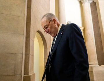 Senate Democratic Leader Chuck Schumer