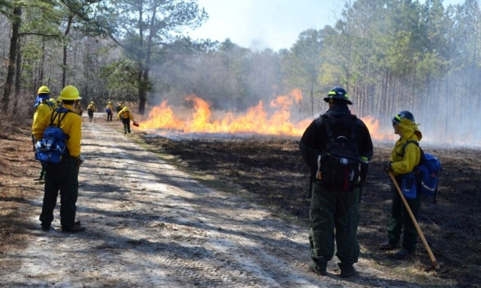 firefighters watching a blaze