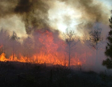 a wildfire burning