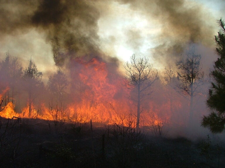 a wildfire burning