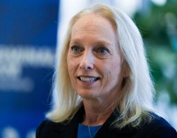 Mary Gay Scanlon speaking
