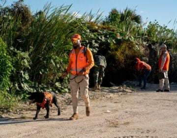 Officer conduct a search on the beach with a police dog