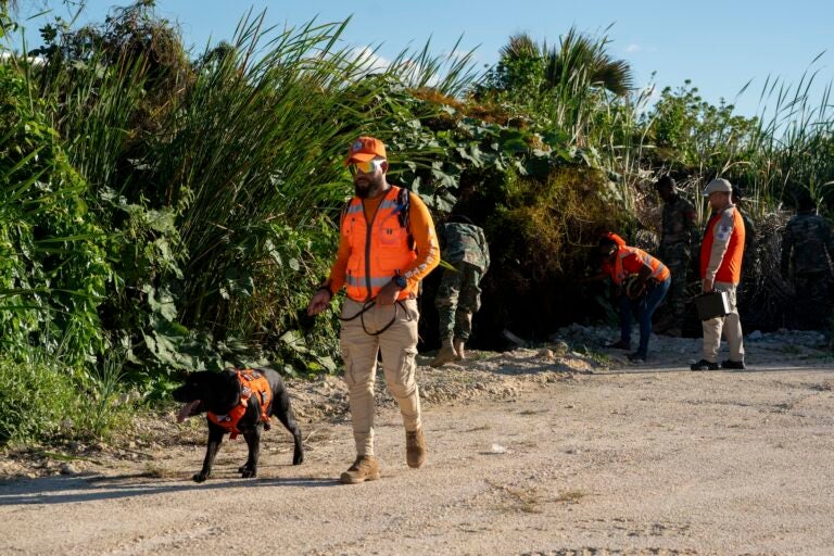 Officer conduct a search on the beach with a police dog