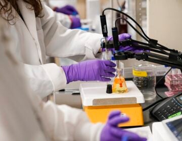 Testing water samples in a lab