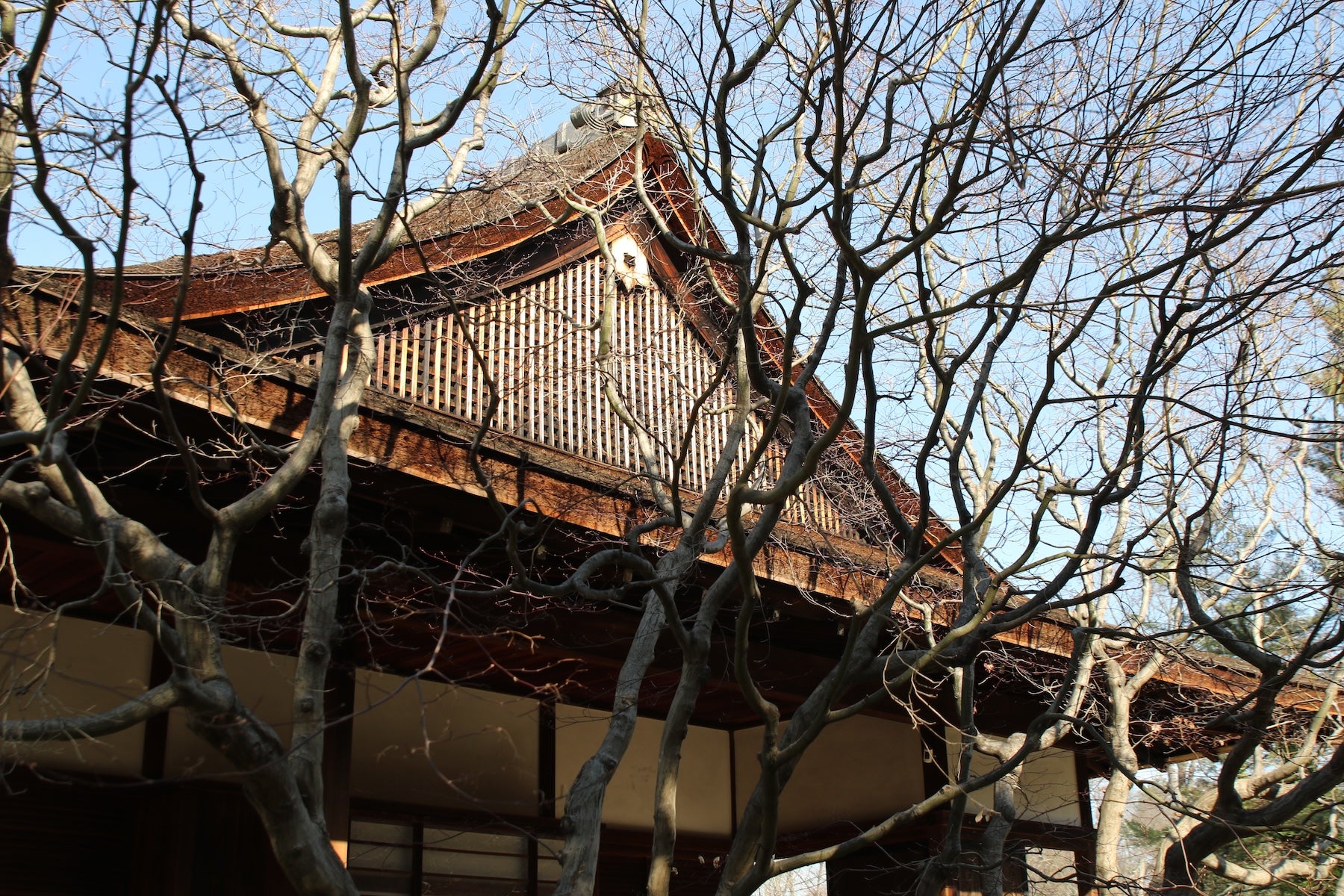 shofuso-japanese-cultural-center-cs-01-032025