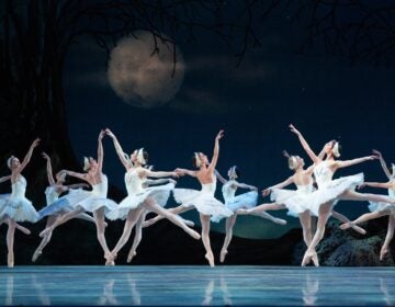 Dancers appear in ''Swan Lake''