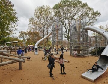 Treehouses at center of Verna Playground