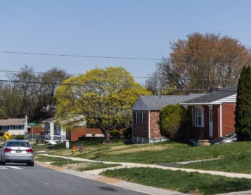 homes on a street