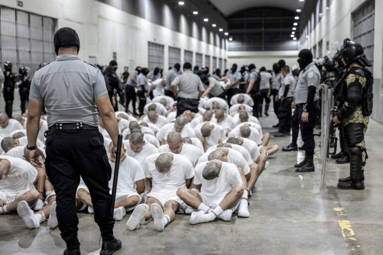 Deportation Battle People are held in detention wearing white clothes in an El Salvadoran prison