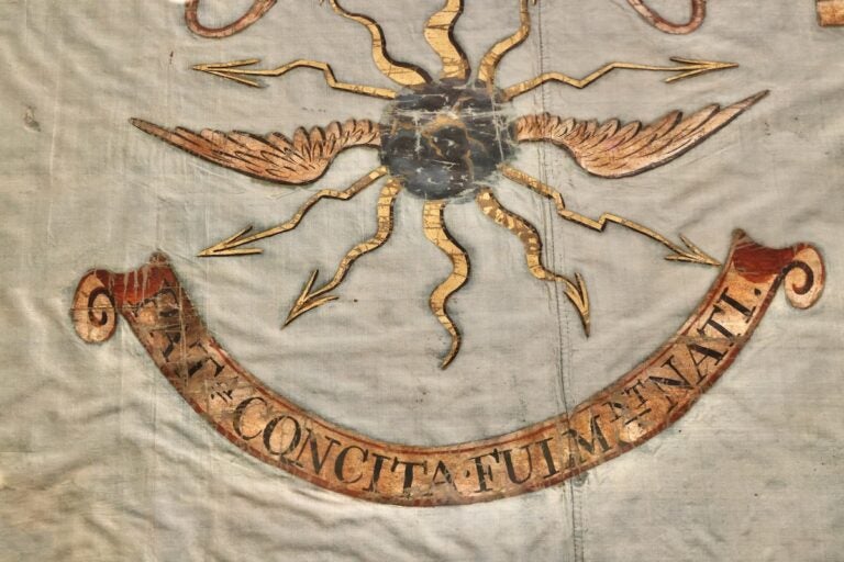 The 2nd Regiment of Light Dragoons flag featured at the Museum of the American Revolution